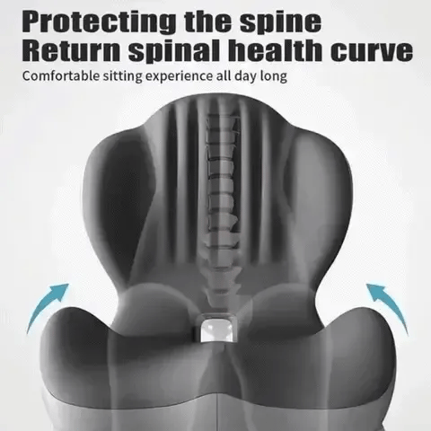 Monizes™ ErgoNest – Cojín Integrado de Asiento y Soporte Lumbar de Espuma Viscoelástica