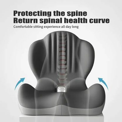 Monizes™ ErgoNest – Cojín Integrado de Asiento y Soporte Lumbar de Espuma Viscoelástica